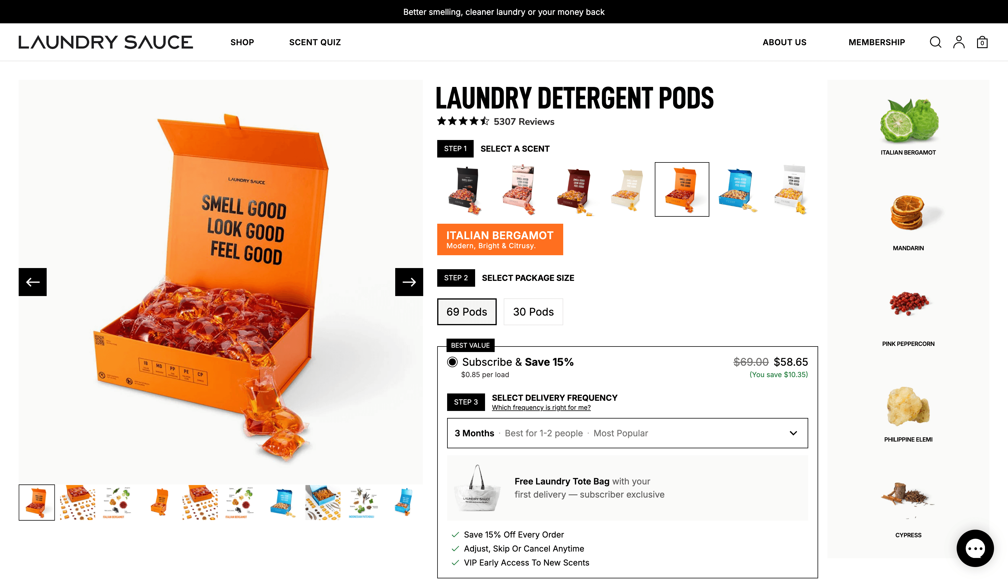 Laundry Sauce detail 1