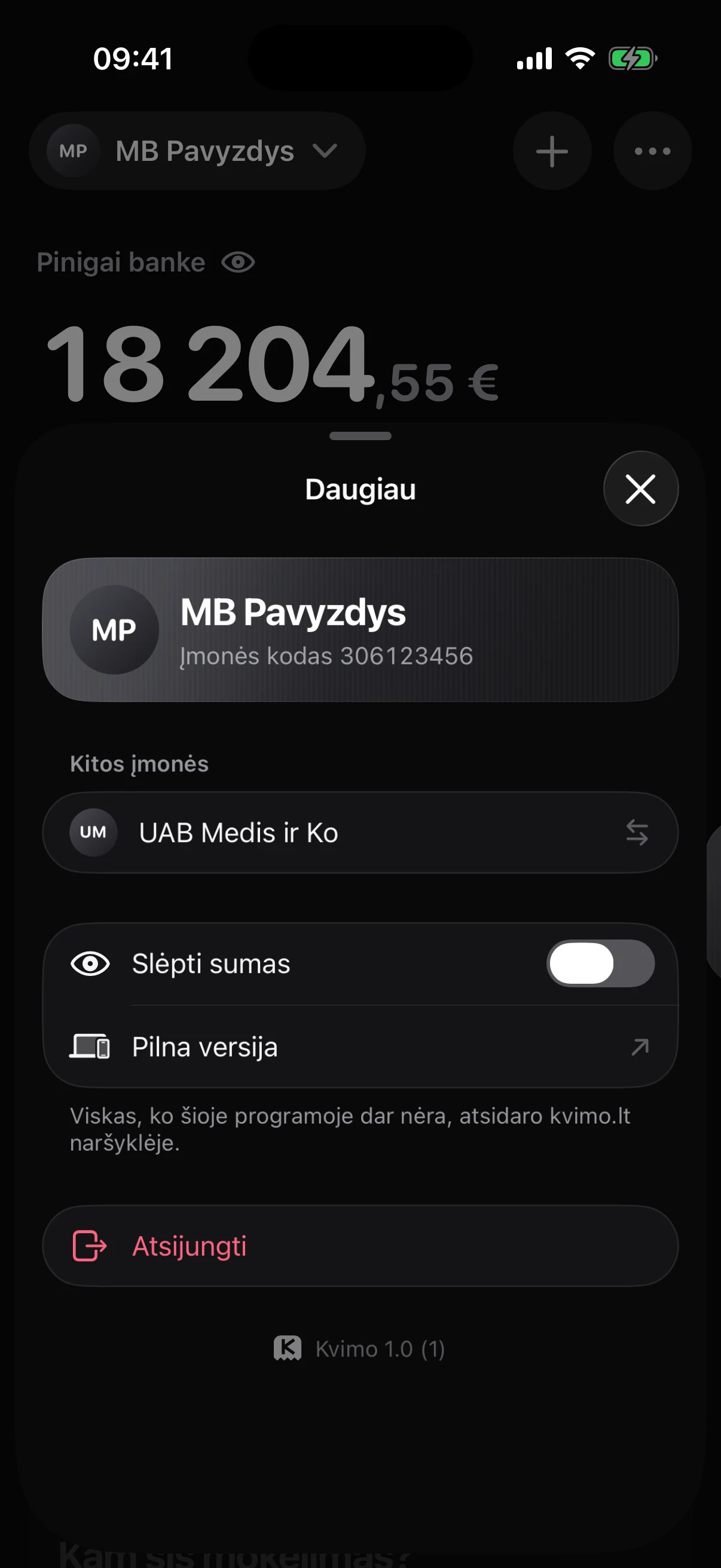 The More sheet on iPhone, with the hide amounts switch and a link to the full version