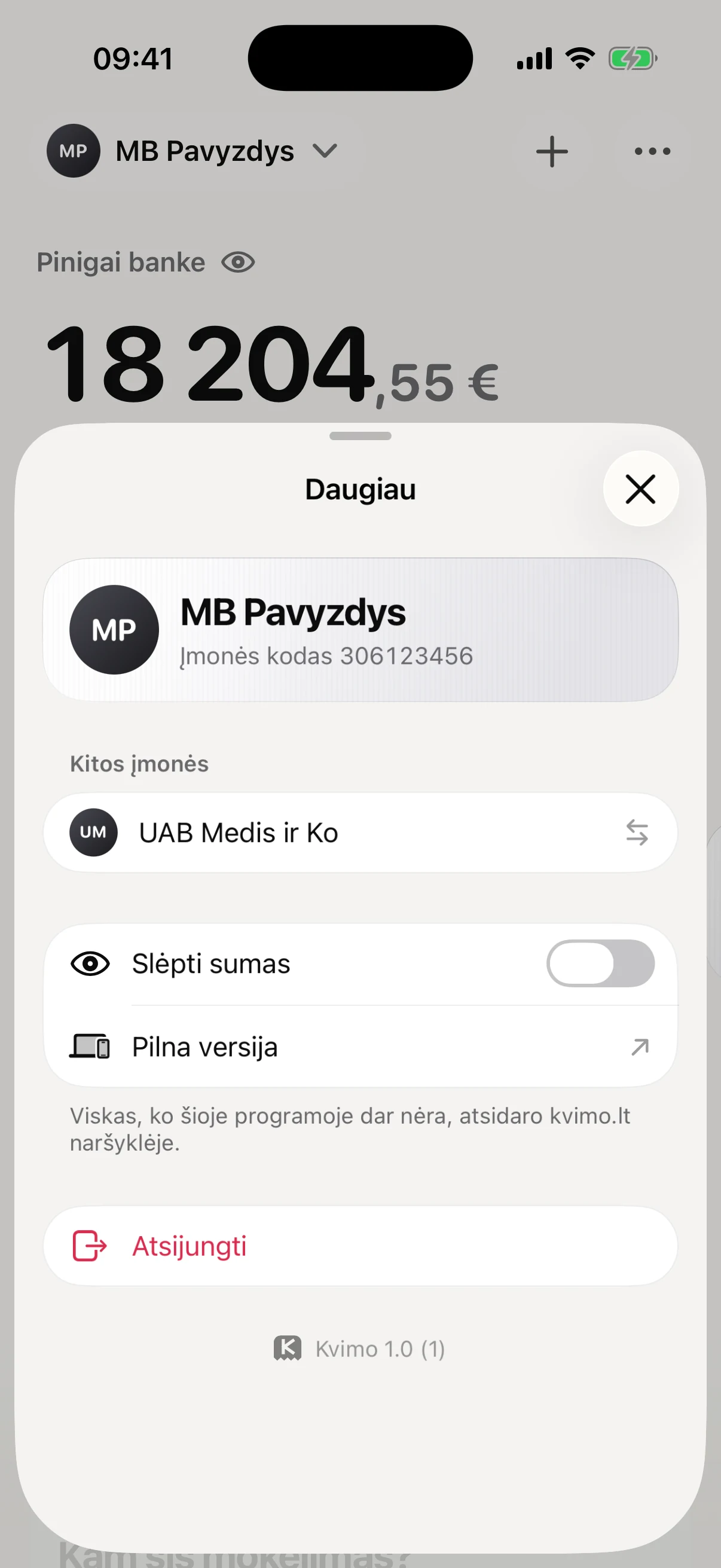 The More sheet on iPhone, with the hide amounts switch and a link to the full version